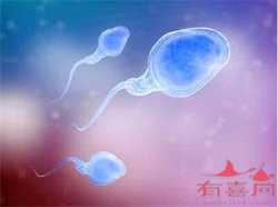 武汉代生产子公司，2022年武汉三代试管婴儿费用多少钱？附武汉医院试管费用明细！
