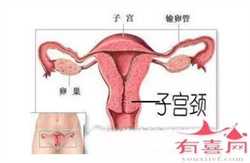 武汉安全的代孕生子，湖北代孕概述